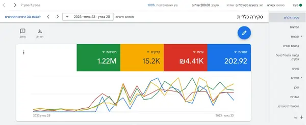 Campaign report: online store · one month of ads