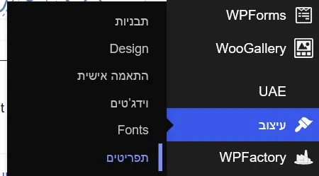צילום מסך: נווט אל מראה ← תפריטים